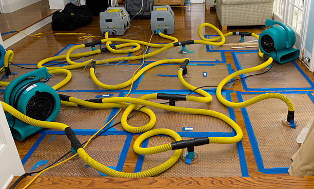 Professional Structural Drying And Dehumidification technician working in Decatur, TX